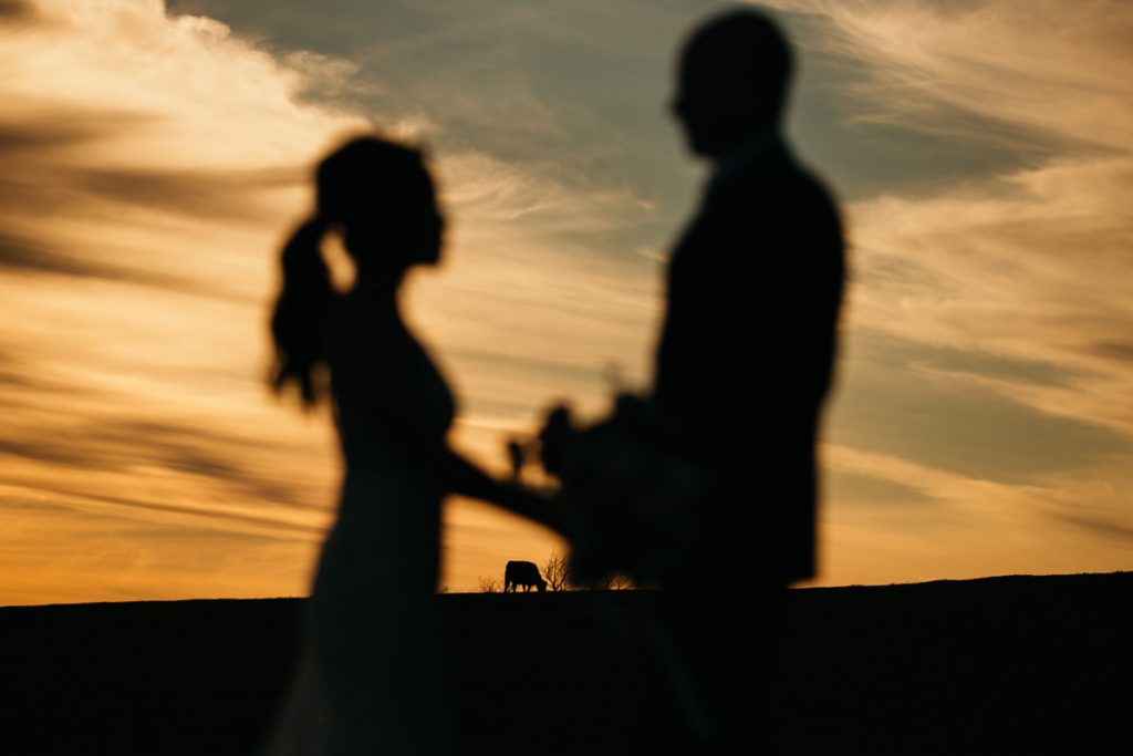 Marlie Brae Wedding Photography Southern HighlandsSunset silhouette of a cow, with blurry bride and groom in the foreground