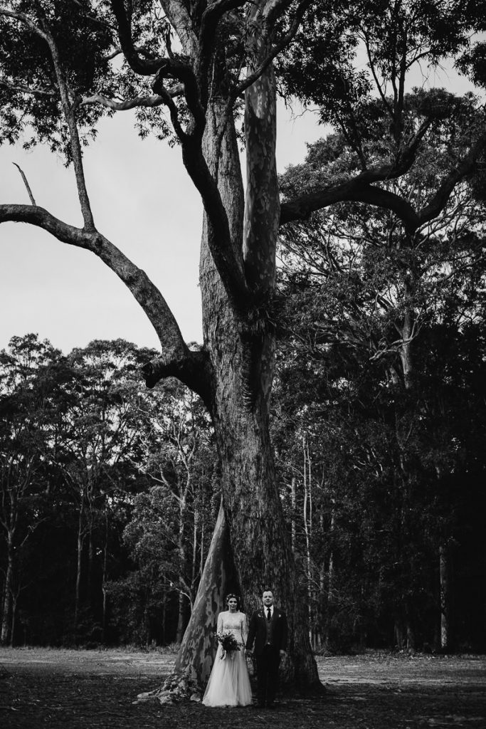 Black and white portrait of bride and groom in front of a huge tree at their Worrowinf wedding; South Coast Wedding Photographer